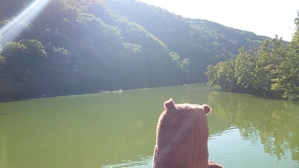 H&aacute;mori-t&oacute;